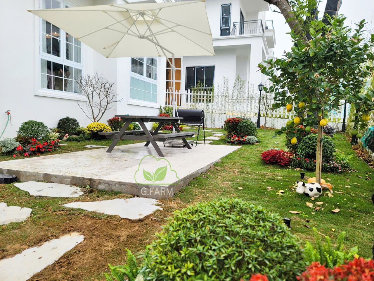 Thiết kế thi công sân vườn xanh villa
